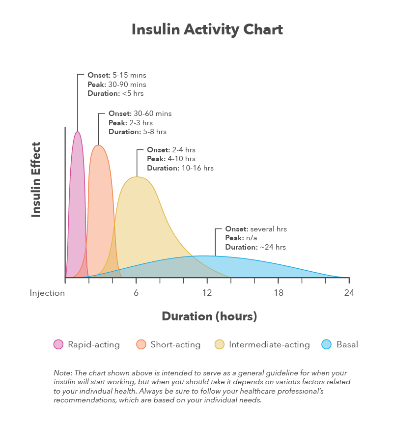 Parcel gevinst Leonardoda The Complete Guide to Insulin Types [w/ Downloadable Charts]